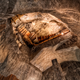 Illustration for article titled Journey Underground to These Eye-Poppingly Incredible Old Mines